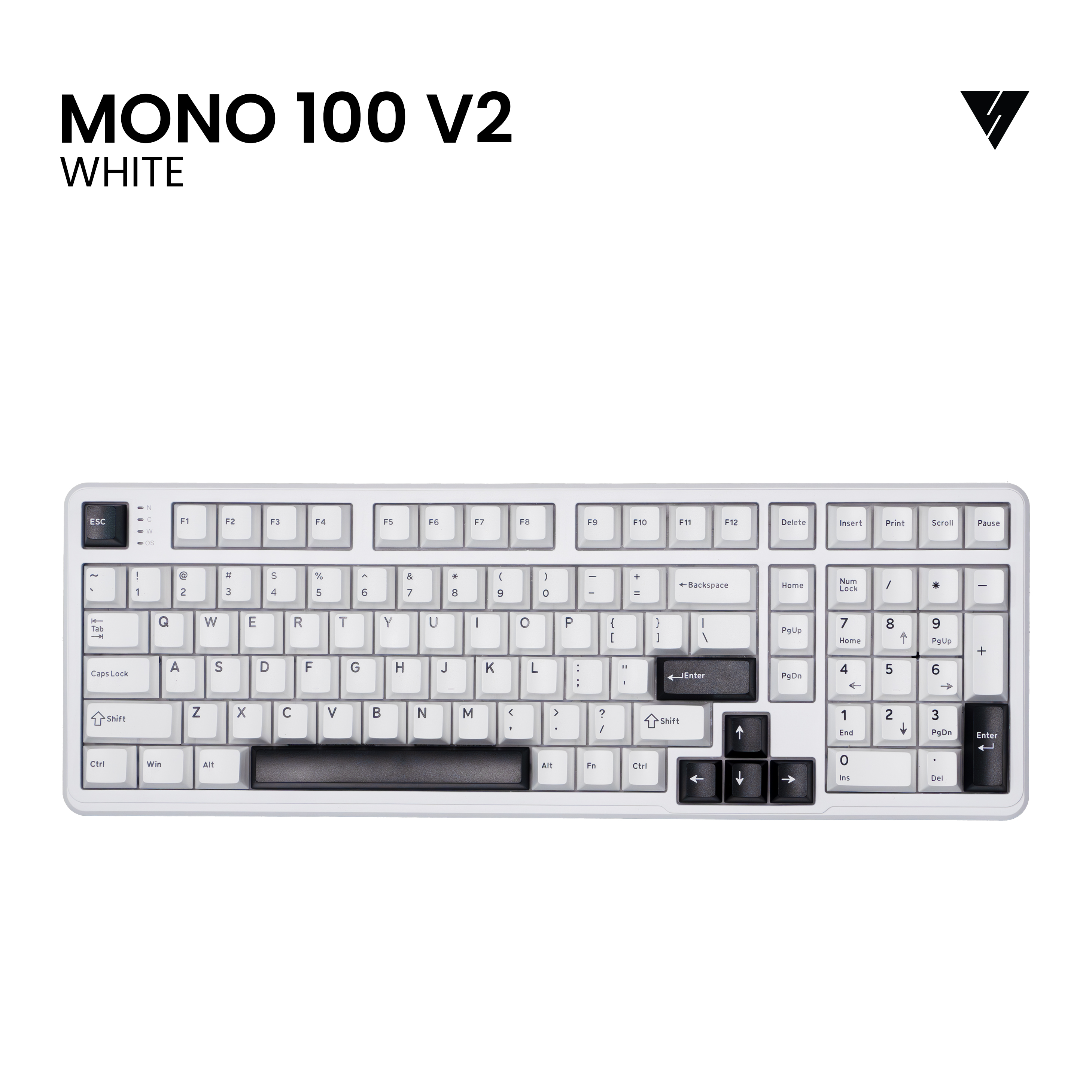 Mono100 (V2)